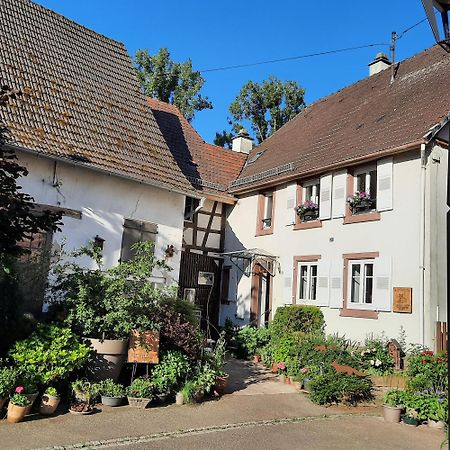 La Renardiere Reichshoffen Exteriör bild